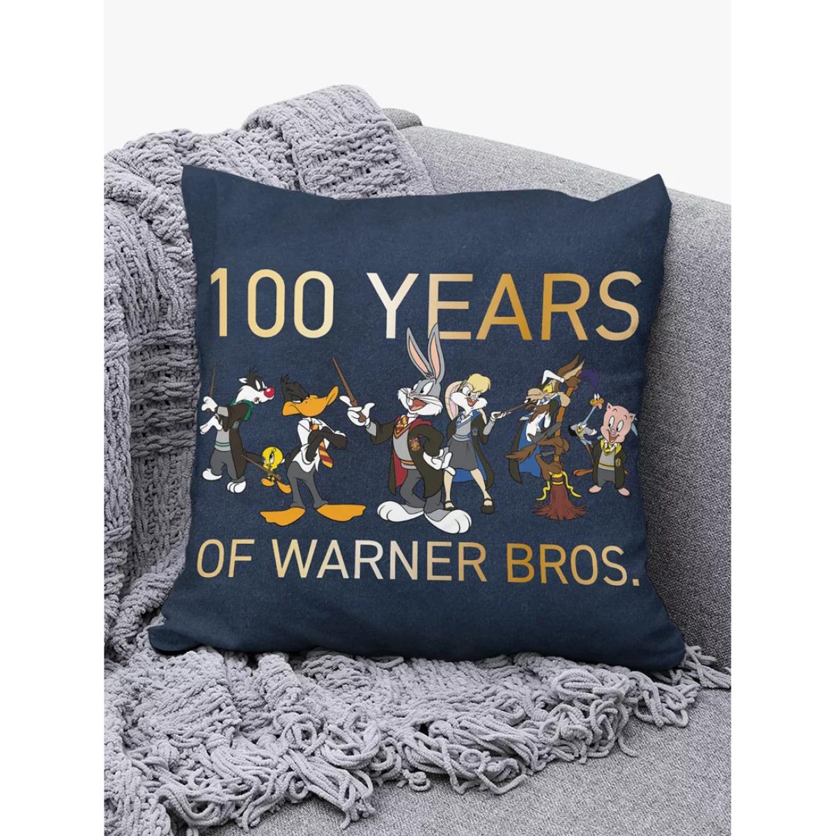 Harry Potter Warner Bros Mash Up Limited Edition 100th Anniversary Square Cushion – image 4