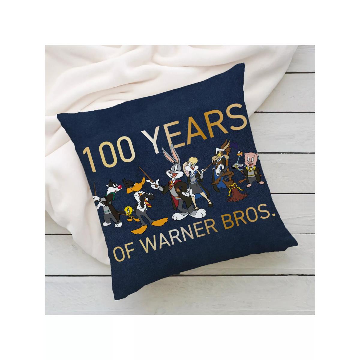 Harry Potter Warner Bros Mash Up Limited Edition 100th Anniversary Square Cushion – image 6