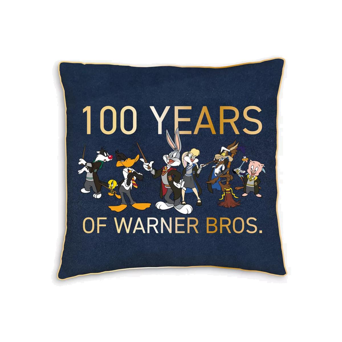 Harry Potter Warner Bros Mash Up Limited Edition 100th Anniversary Square Cushion – image 1