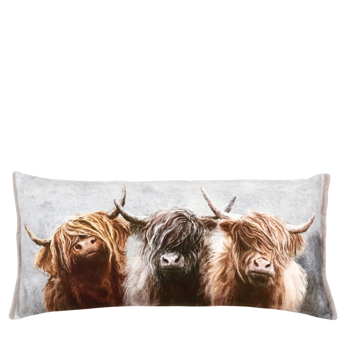 Highland Cow Trio Cushion – image 3