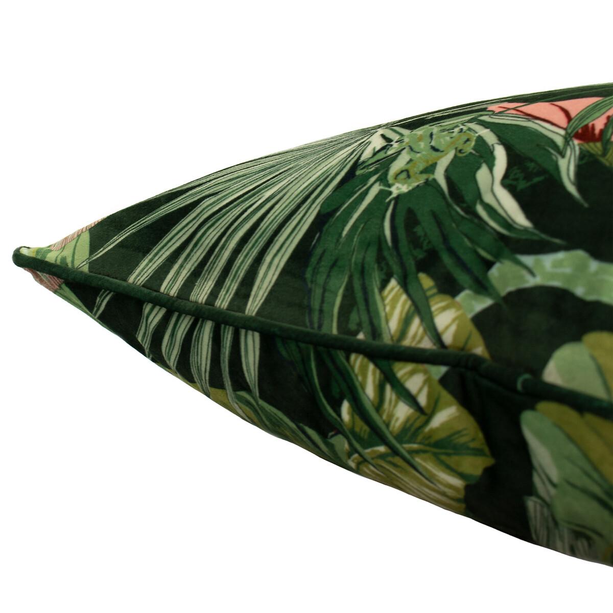 Amazon Creatures Tropical Filled Cushion – image 3