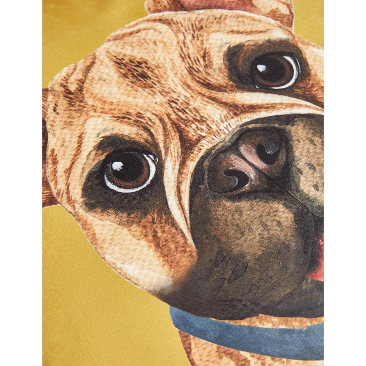 M&S Velvet French Bulldog Printed Cushion - Ochre, Ochre – image 4