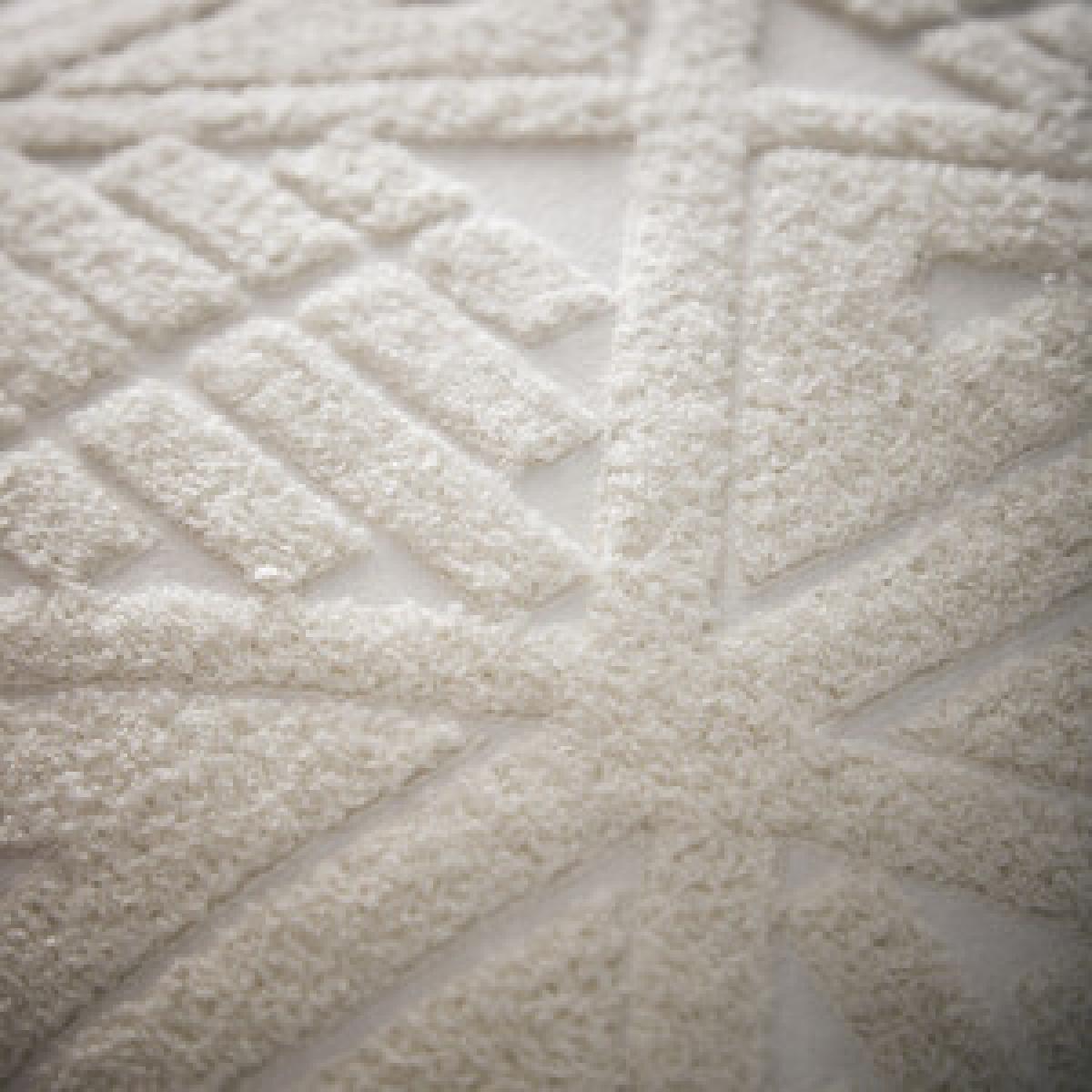 Portfolio Home Amara Filled Tassel Cushion - Cream / 56cm – image 3