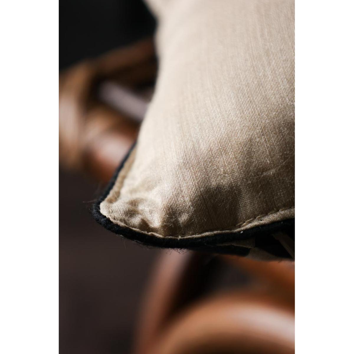 Minds Eye Silk Cushion – image 11