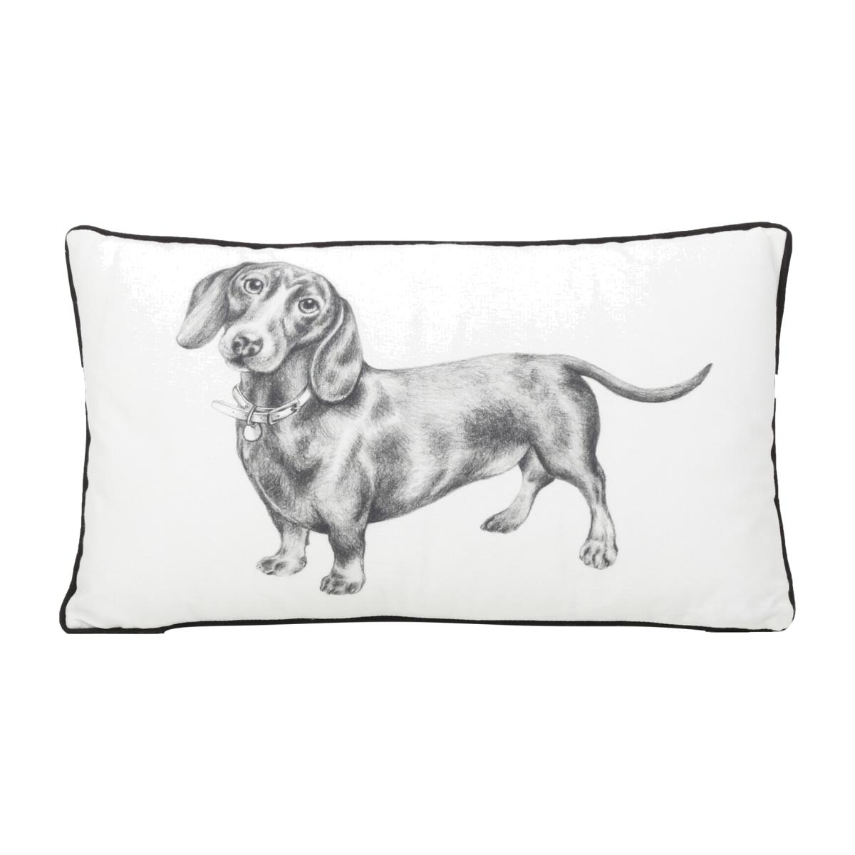 Dexter The Dachshund Cushion - White
