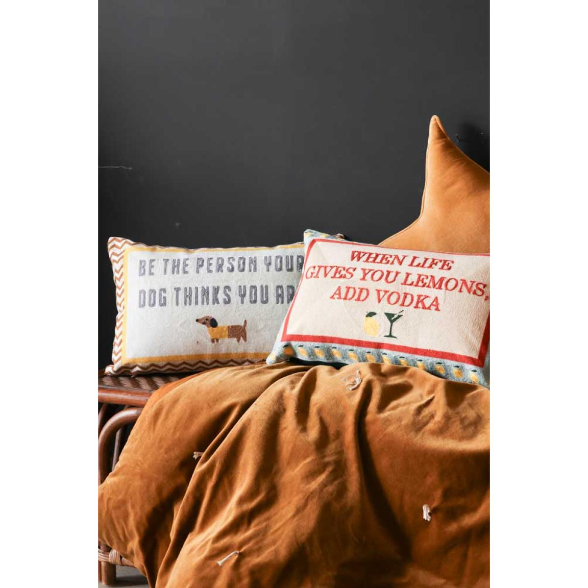 When Life Gives You Lemons Add Vodka Cushion – image 7