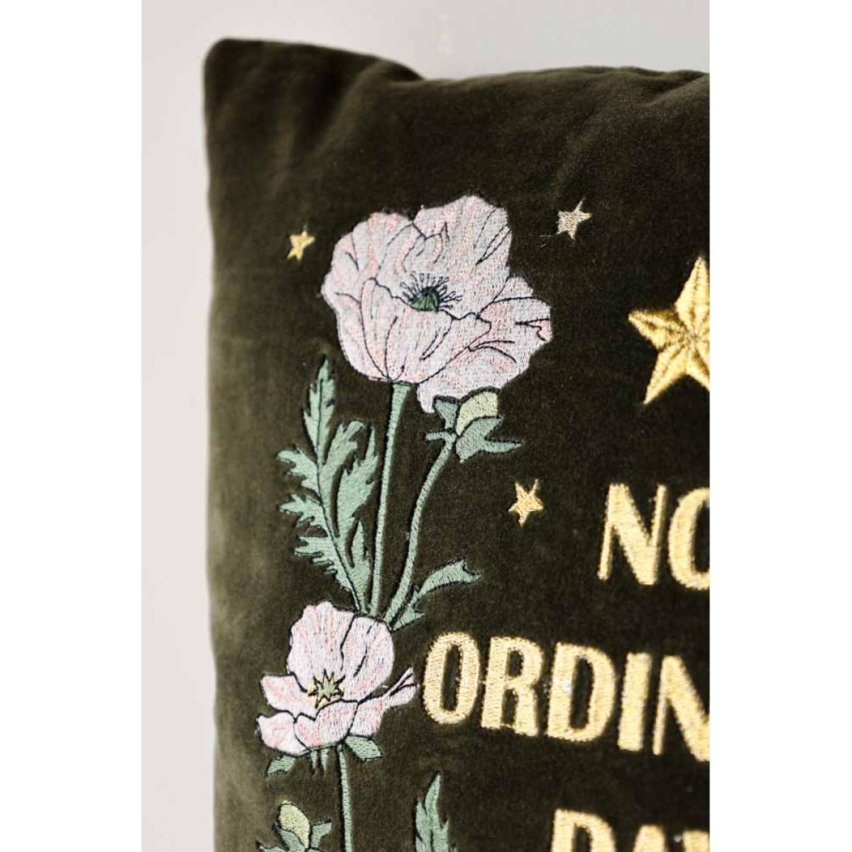 Denim & Bone X Rockett St George No Ordinary Day Cushion – image 3