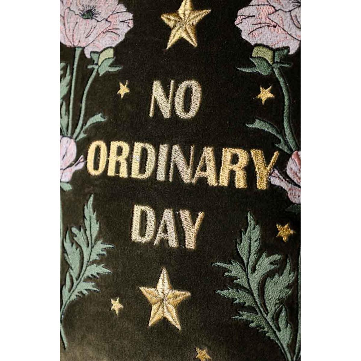 Denim & Bone X Rockett St George No Ordinary Day Cushion – image 4