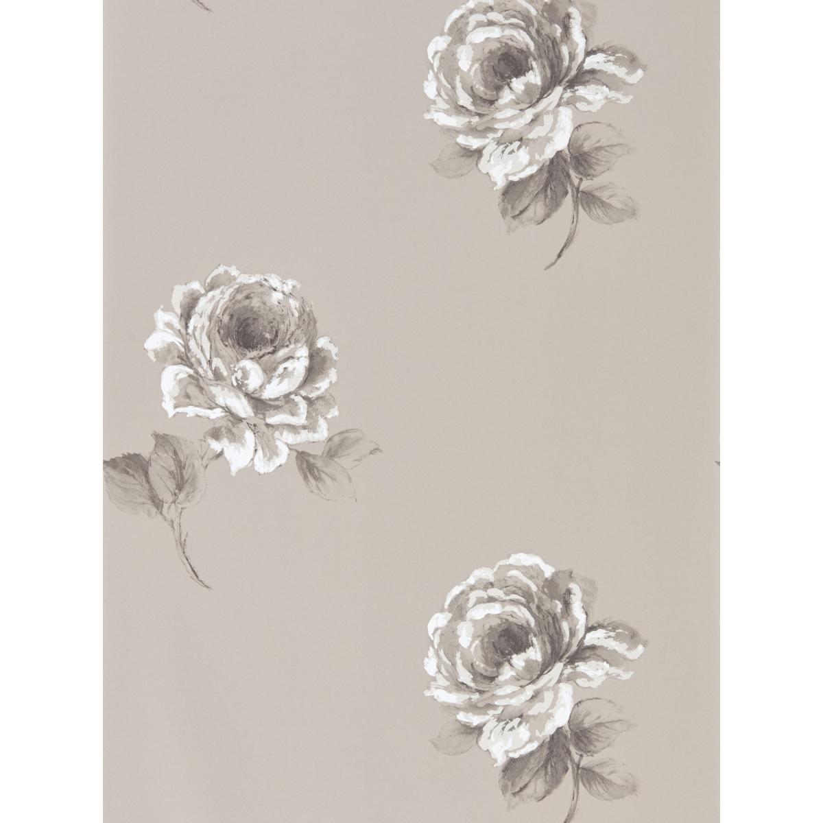 Rosa Floral Wallpaper 216279 by Sanderson in Silver Grey&nbsp;Roll – image 2