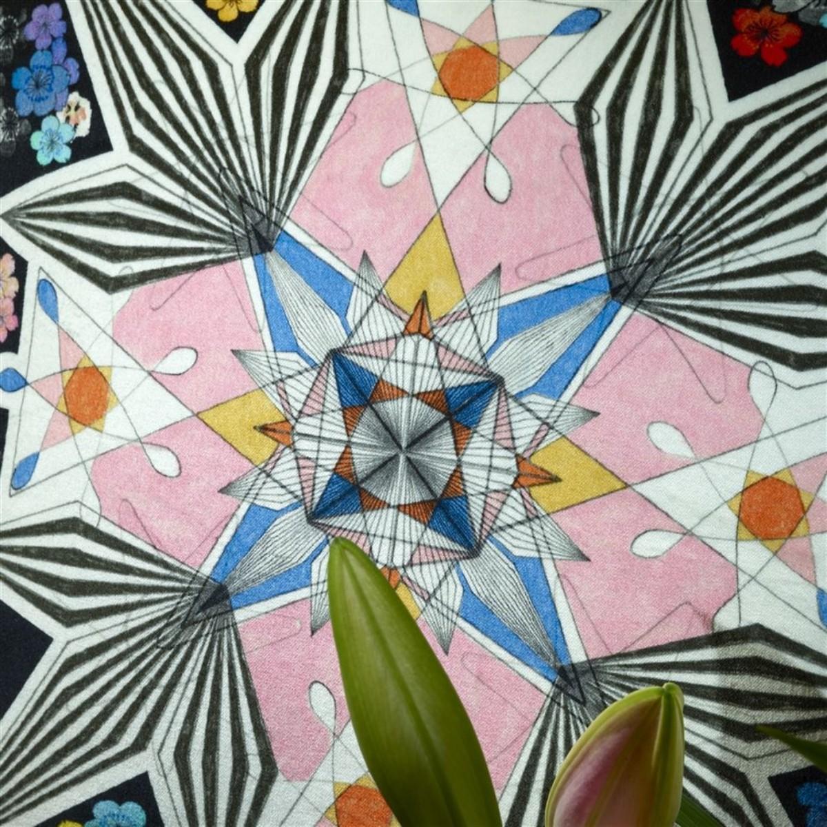 Christian Lacroix | Flowers Galaxy Multicolour Cushion – image 5