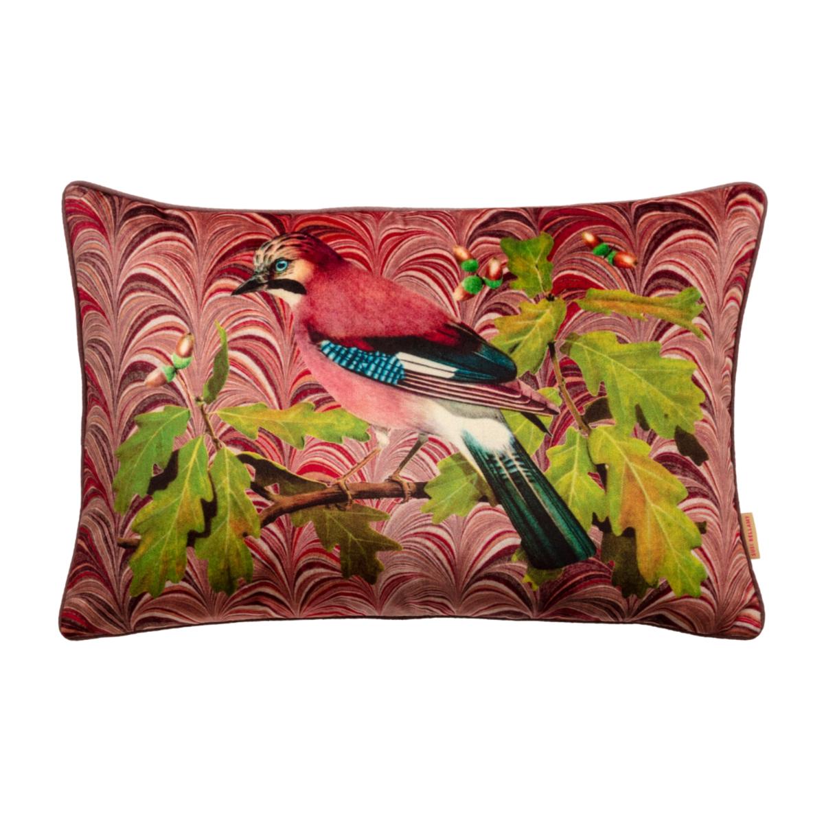 Pink / Purple / Green Mulberry Bird Velvet Cushion One Size Susi Bellamy – image 1