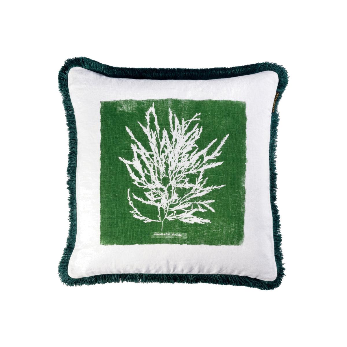 Green / White Algae I Linen Square Cushion Mindthegap – image 1