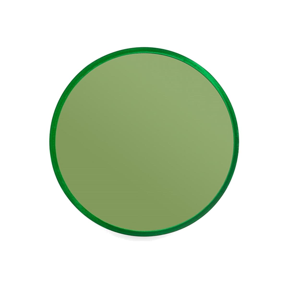 Bold Monkey Medium You're So Ugly Mirror - Green – image 1