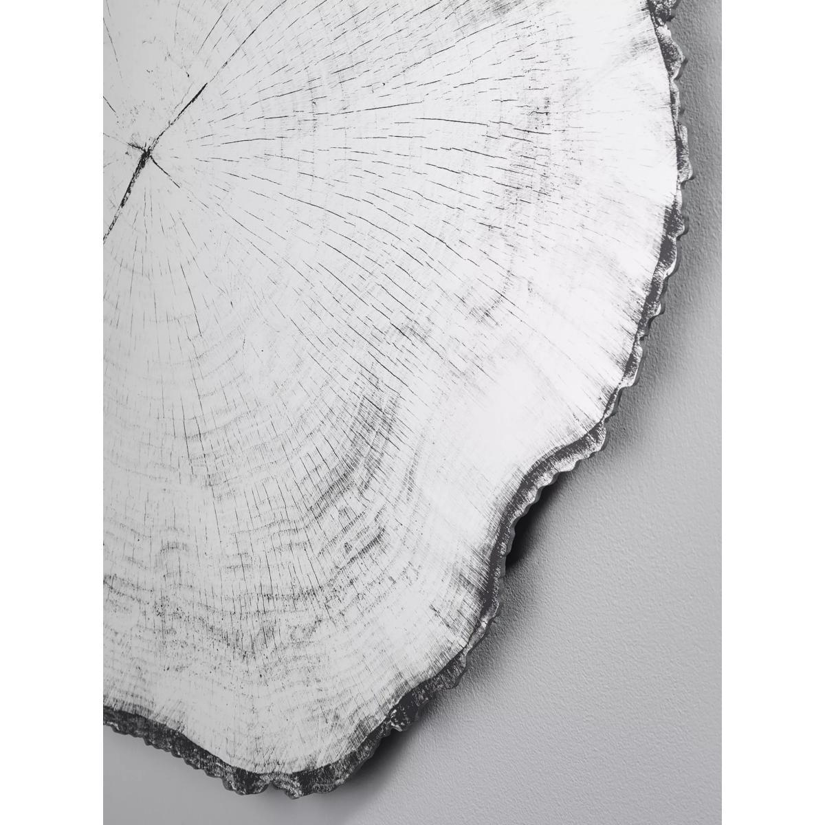 Deknudt Mirrors Arbo Tree Rings Print Wall Mirror, 98 x 101cm, Clear – image 5