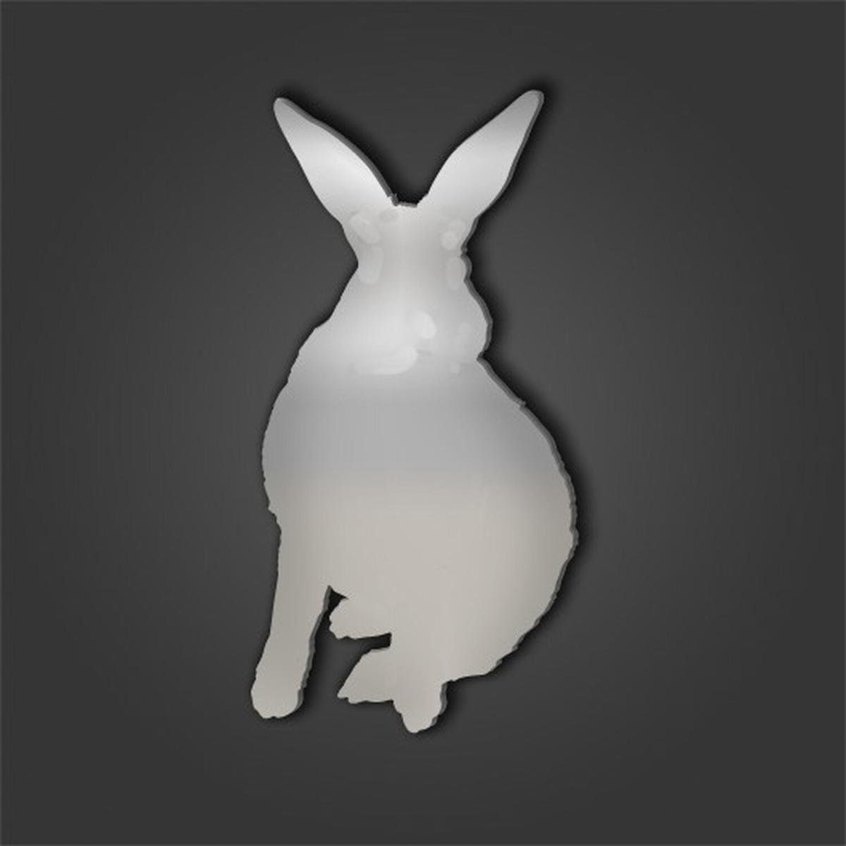 Rabbit Style 6 Silver Acrylic Mirror - Silver / 45.1cm / No Engravement
