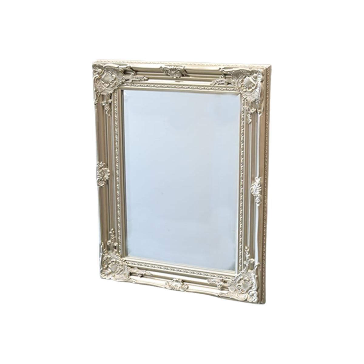 Medium Vintage Silver Leaner Ornate Wall Hanging Mirror With Deep Flowery Frame - Silver