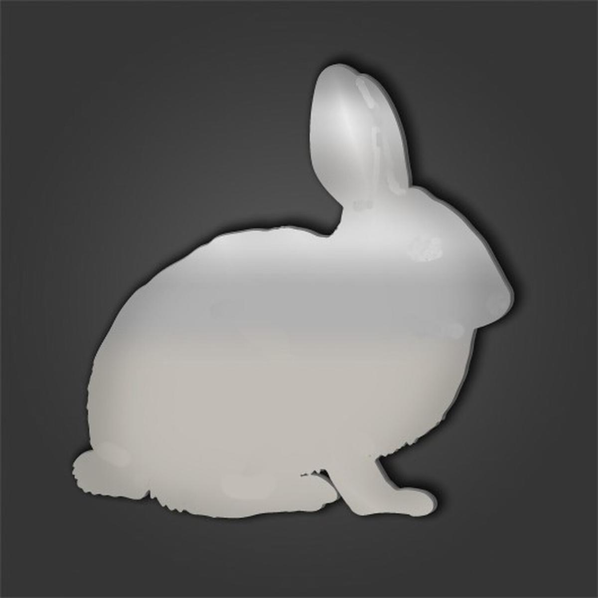 Rabbit Style 5 Silver Acrylic Mirror - Silver / 50cm / No Engraving