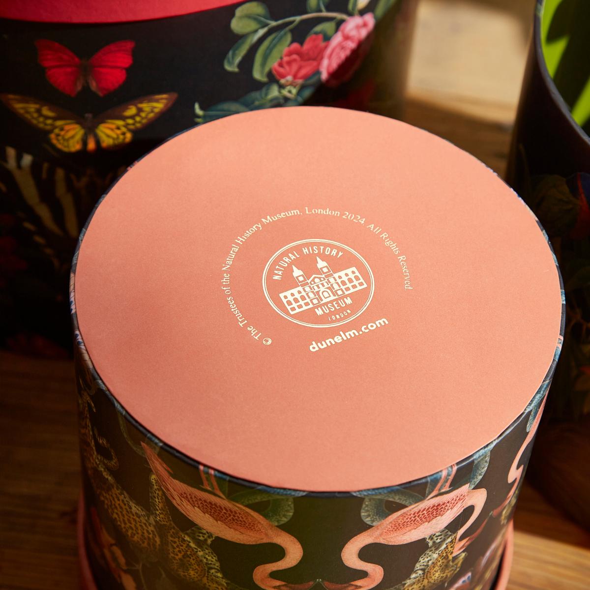 Set of 3 Storage Boxes MultiColoured – image 3