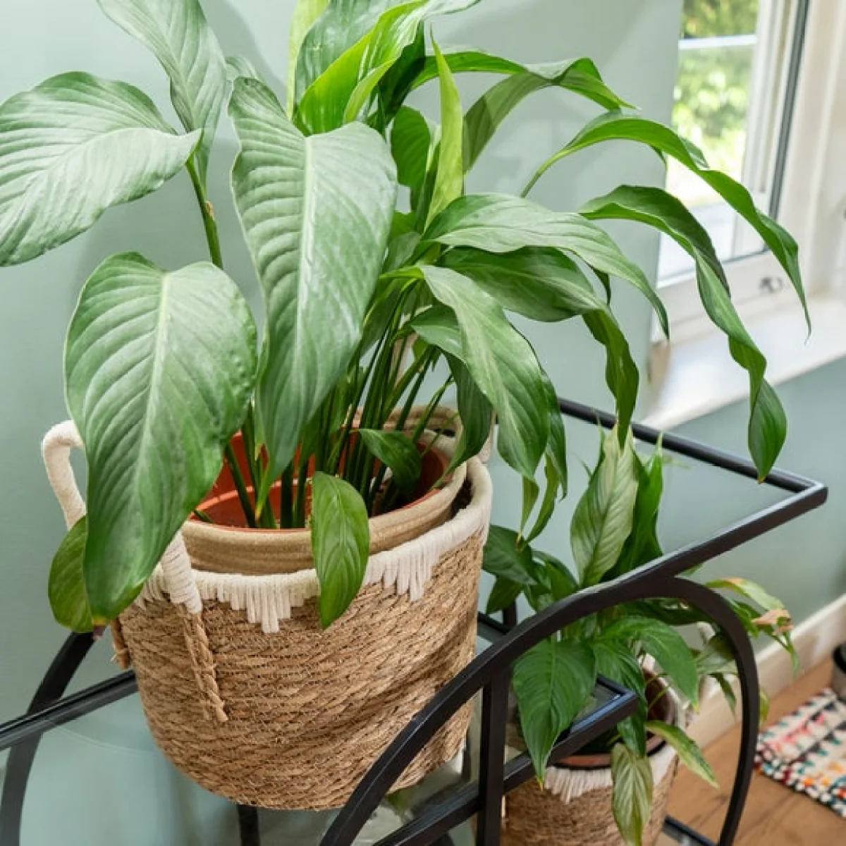 Set of 2 Woven Top Straw Baskets with Handles – image 1