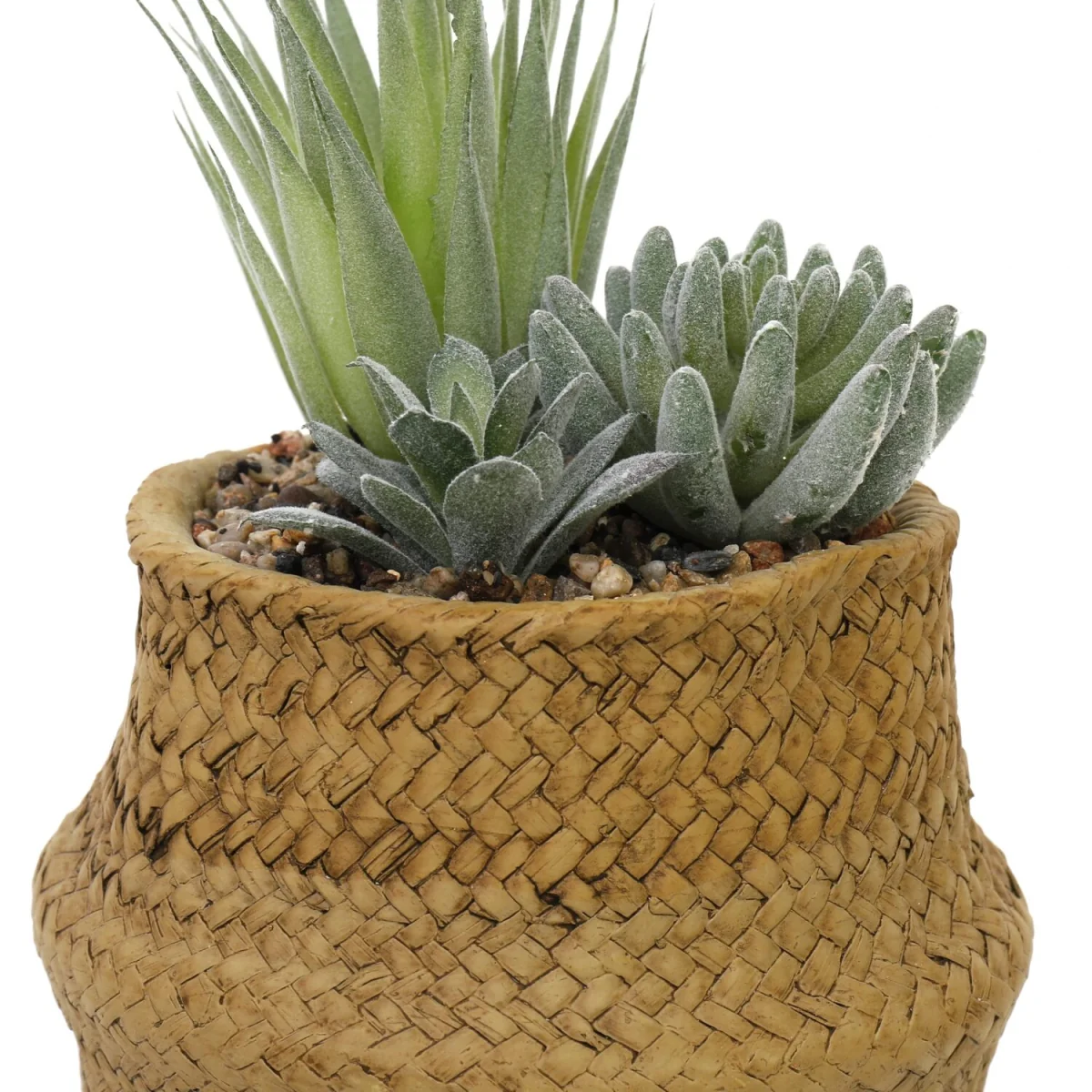 Artificial Cactus Plant, Woven Effect Basket - Natural – image 2