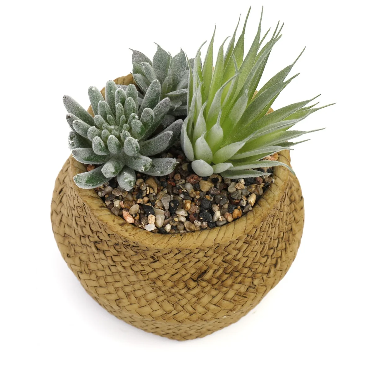 Artificial Cactus Plant, Woven Effect Basket - Natural – image 3