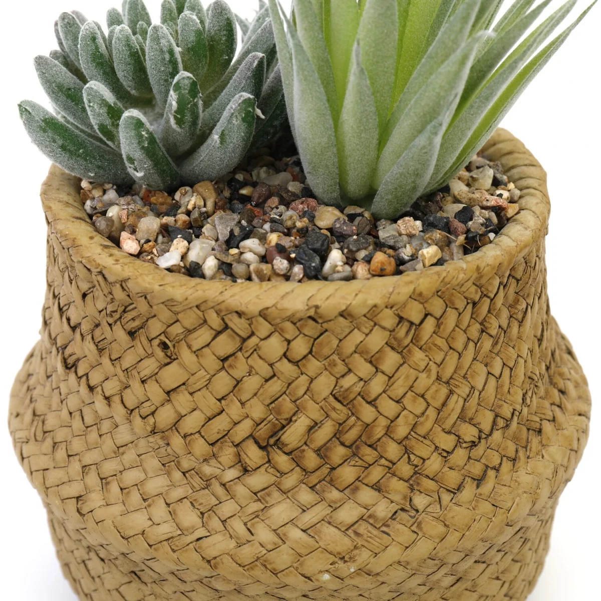 Artificial Cactus Plant, Woven Effect Basket - Natural – image 1