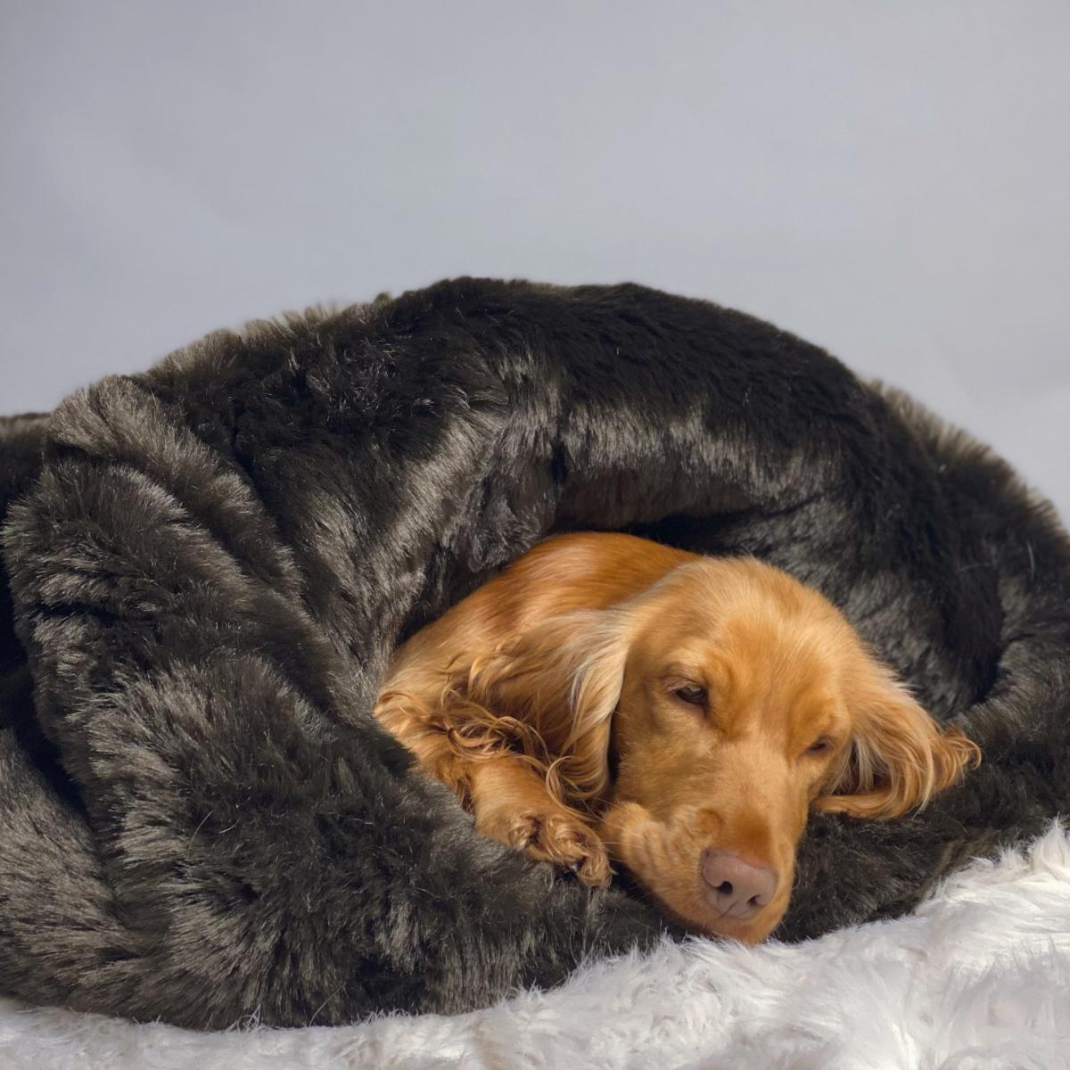 Pookie - Faux Fur Burrow Sleeping Bag - Dark Brown | Medium | Maison Le Lou – image 2