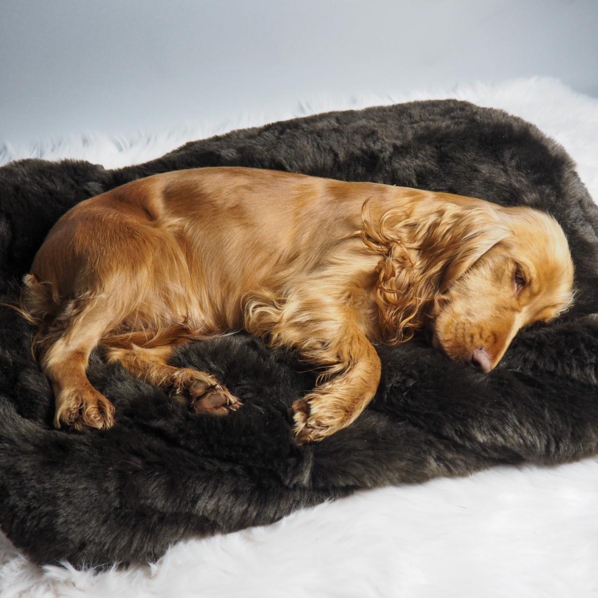 Pookie - Faux Fur Burrow Sleeping Bag - Dark Brown | Medium | Maison Le Lou – image 4