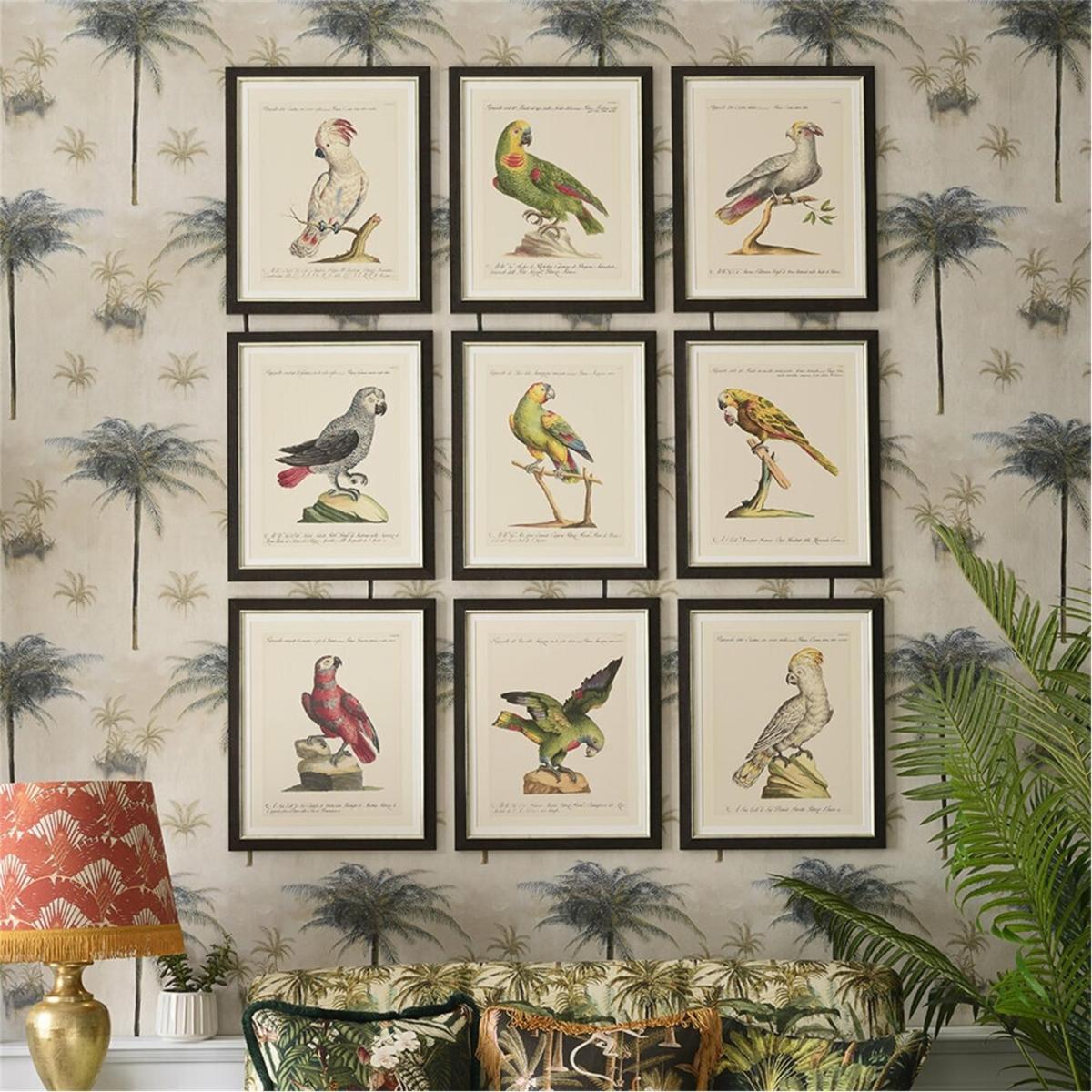 Parrots of Brazil Framed Print - 40x50cm – image 2