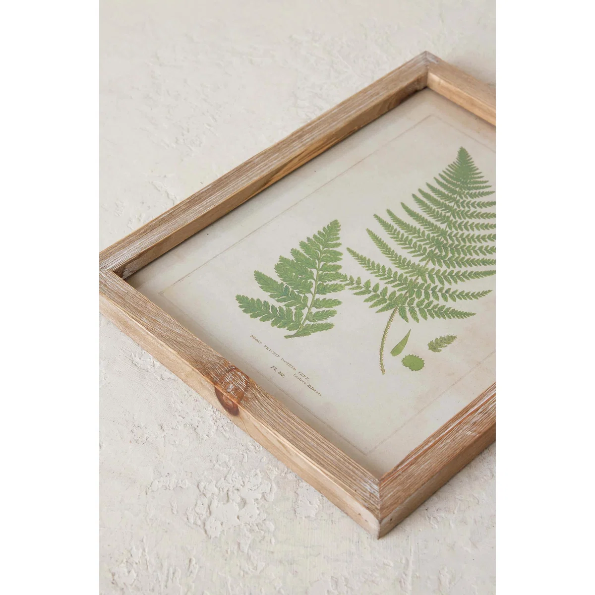 Fern Wall Art – image 2