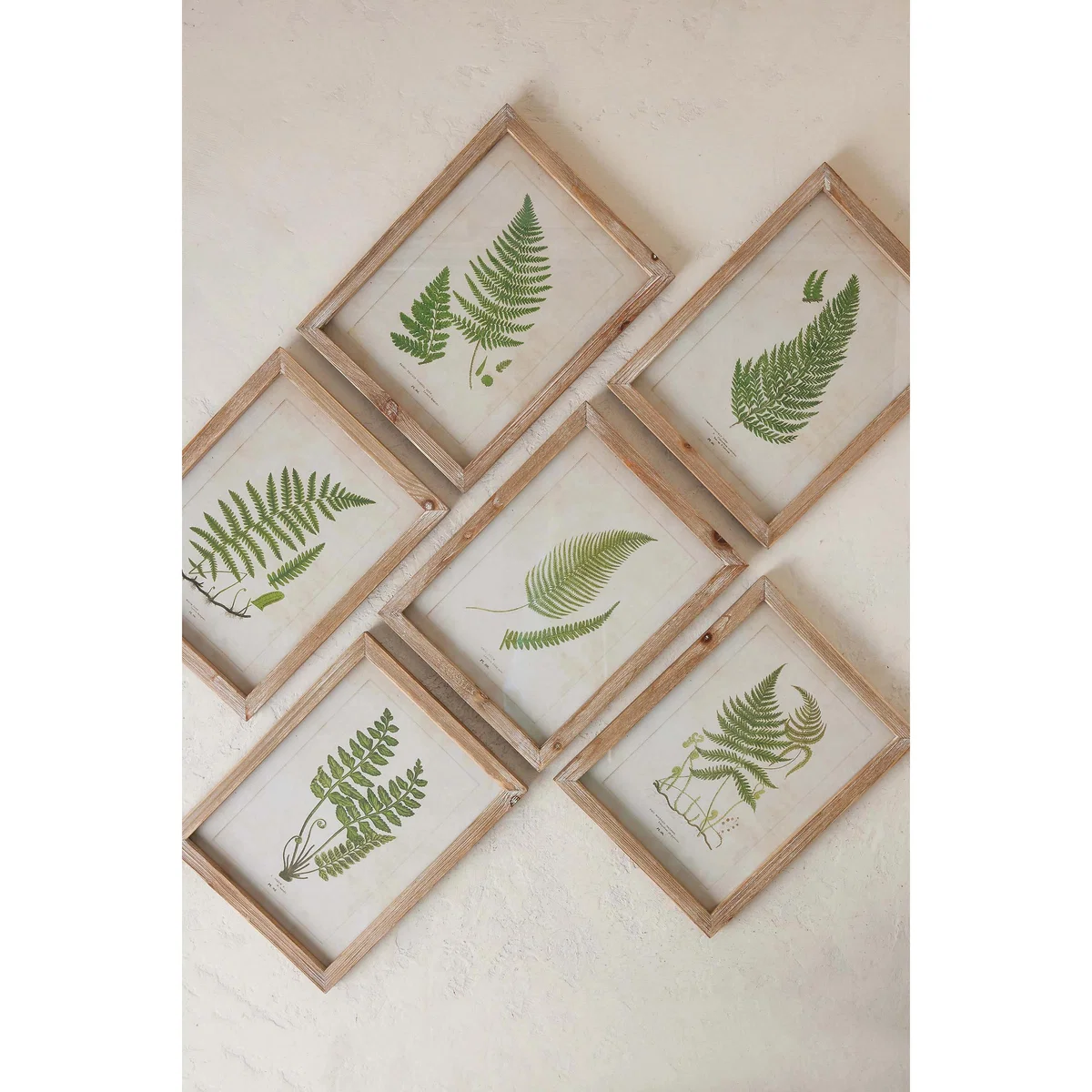 Fern Wall Art – image 4