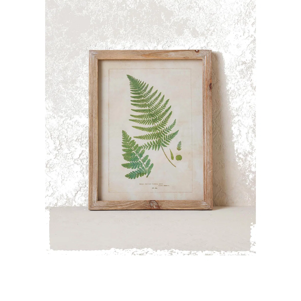 Fern Wall Art – image 1