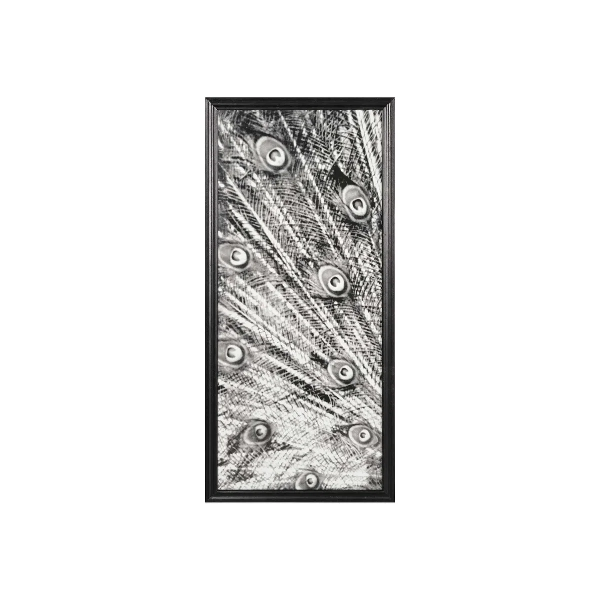 Timothy Oulton Animal Peacock Black & White Art Print Oak Wood | Barker & Stonehouse
