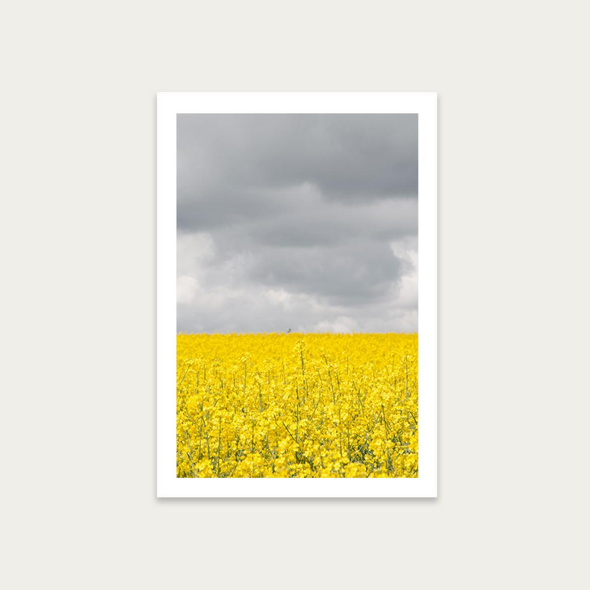 Grey and Yellow Fields Art Print Unframed