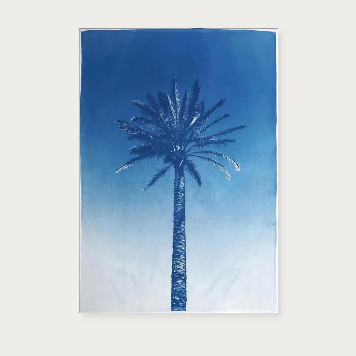 Nile River Palm Limited Edition Handmade Cyanotype Art Print – image 1