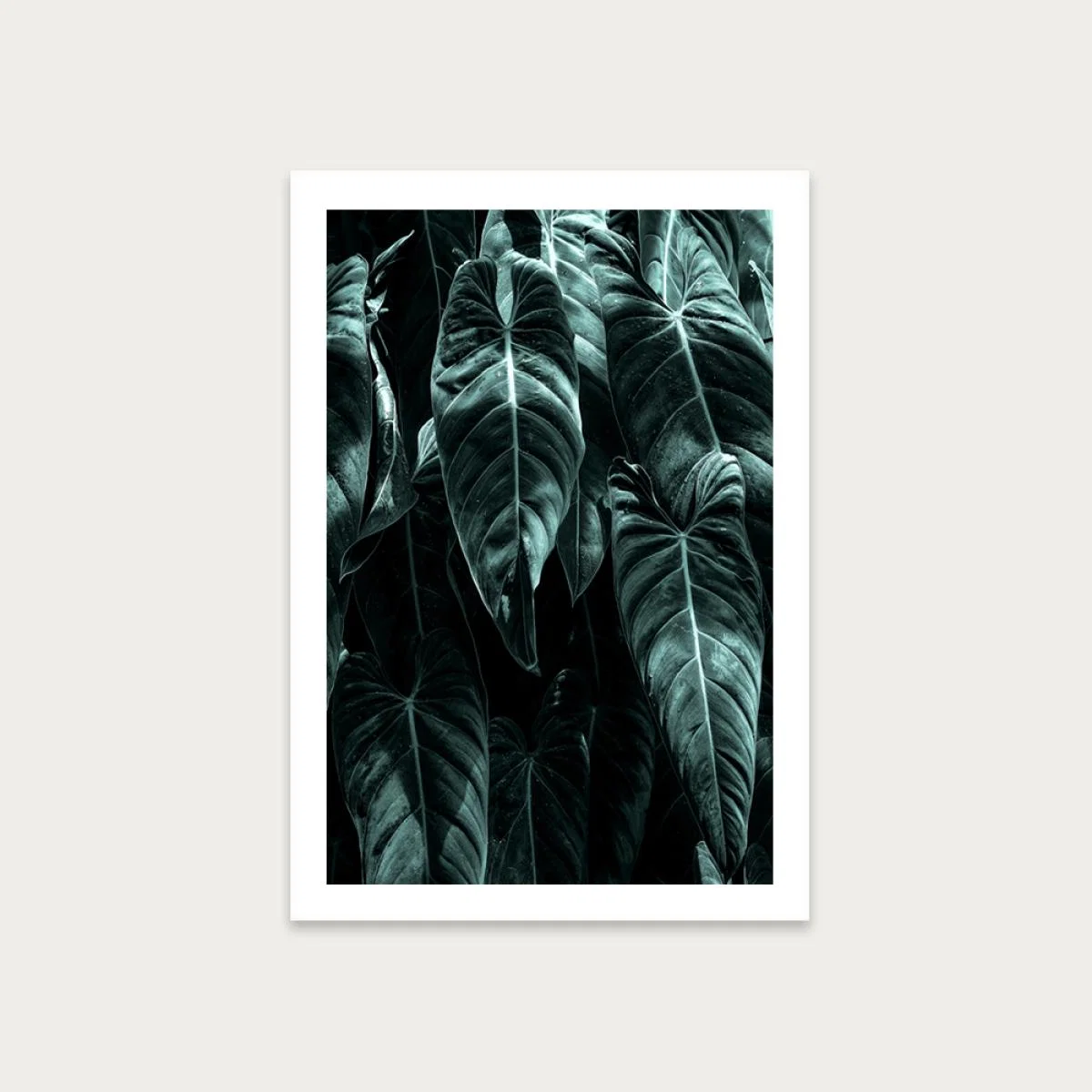 The Jungle Art Print Unframed