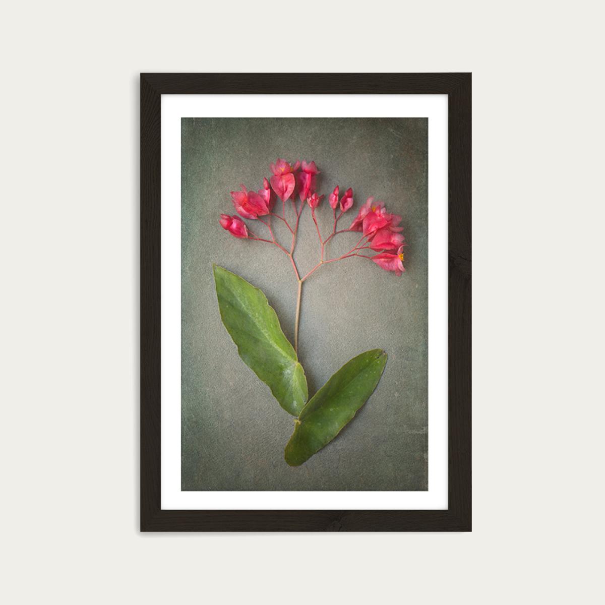 Foraged 1 Art Print Black Frame – image 1