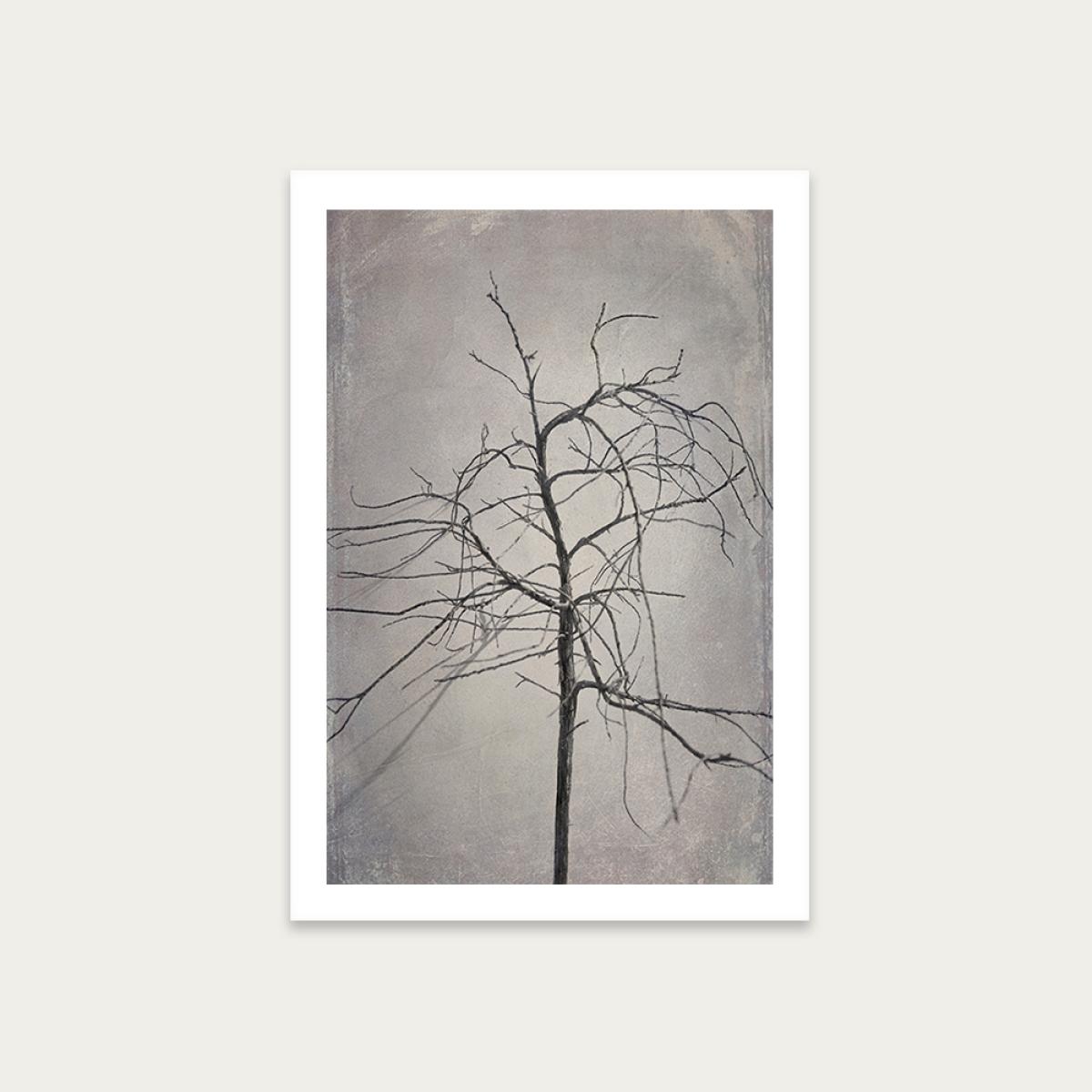 Shadowplay 3 Art Print Unframed