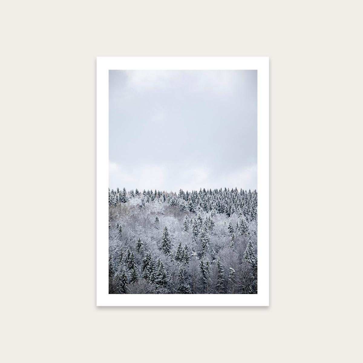 White Winter Forest Art Print Unframed