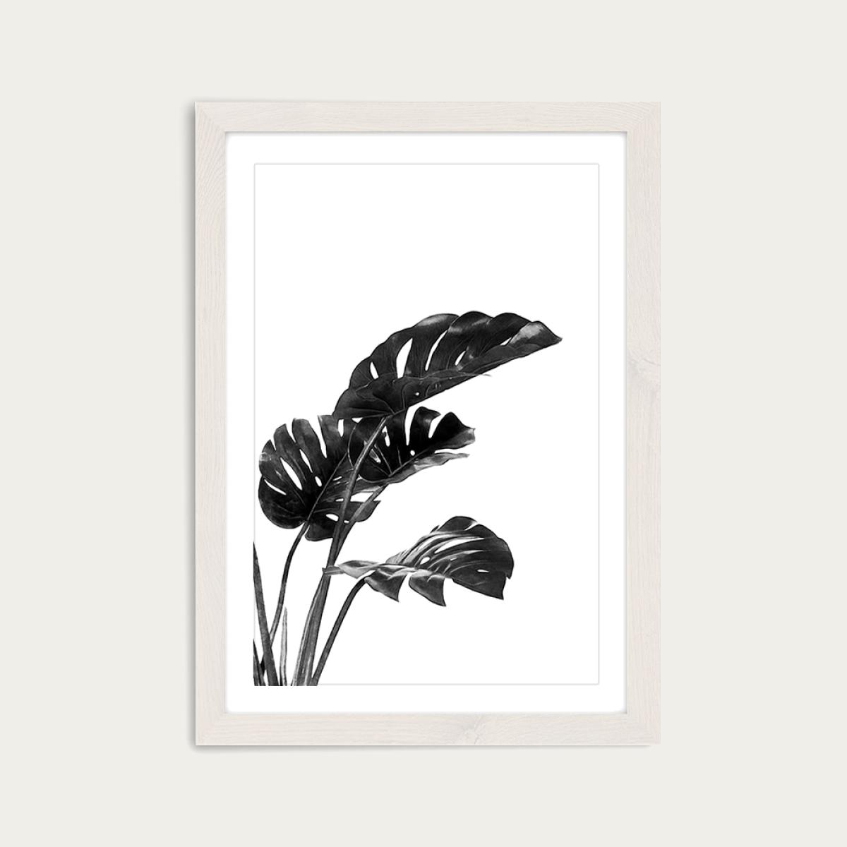 Monstera Black and White 3 Art Print White Frame – image 1