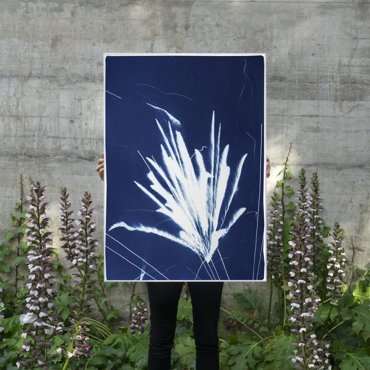 Sparkling Firework Burst Handmade Cyanotype Art Print – image 2