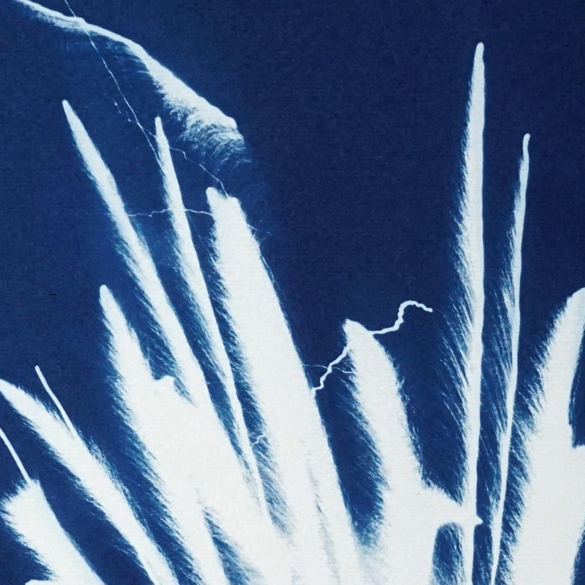 Sparkling Firework Burst Handmade Cyanotype Art Print – image 3