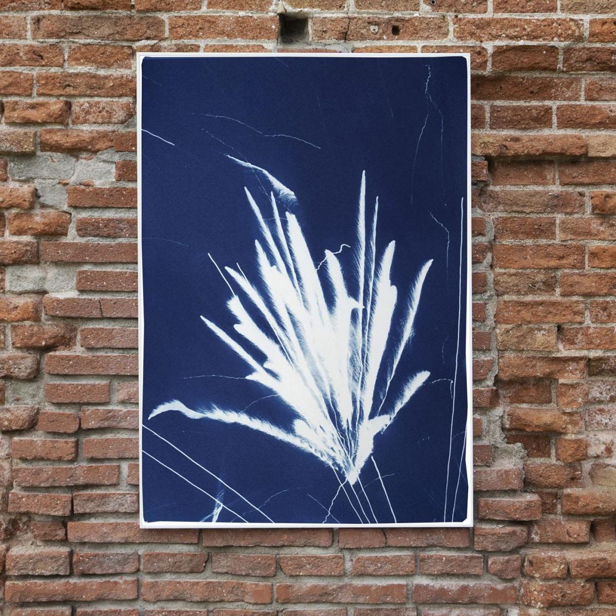 Sparkling Firework Burst Handmade Cyanotype Art Print – image 5