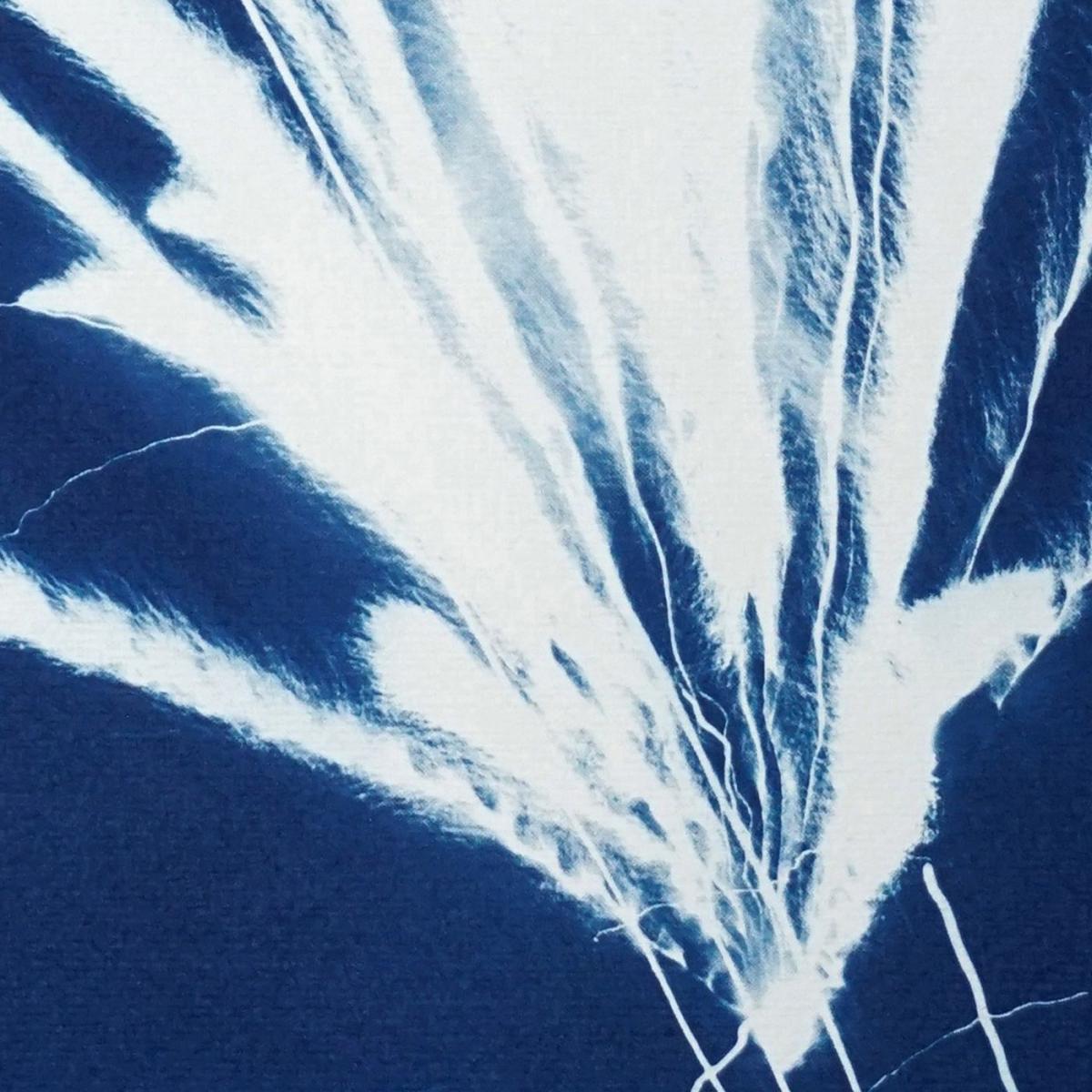 Sparkling Firework Burst Handmade Cyanotype Art Print – image 6