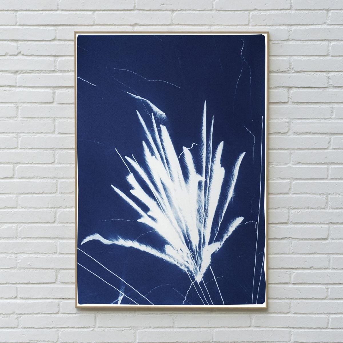 Sparkling Firework Burst Handmade Cyanotype Art Print – image 8
