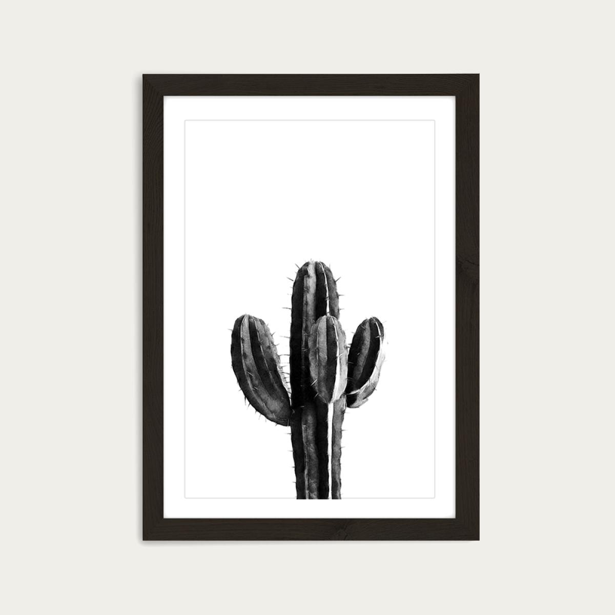 Cactus Black and White 3 Art Print Black Frame – image 1
