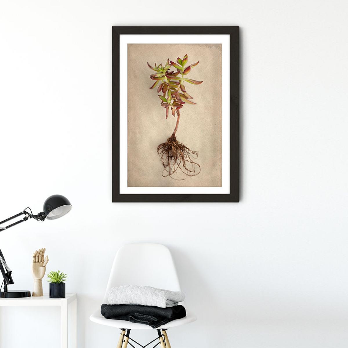 Succulent Study 4 Art Print Black Frame – image 2