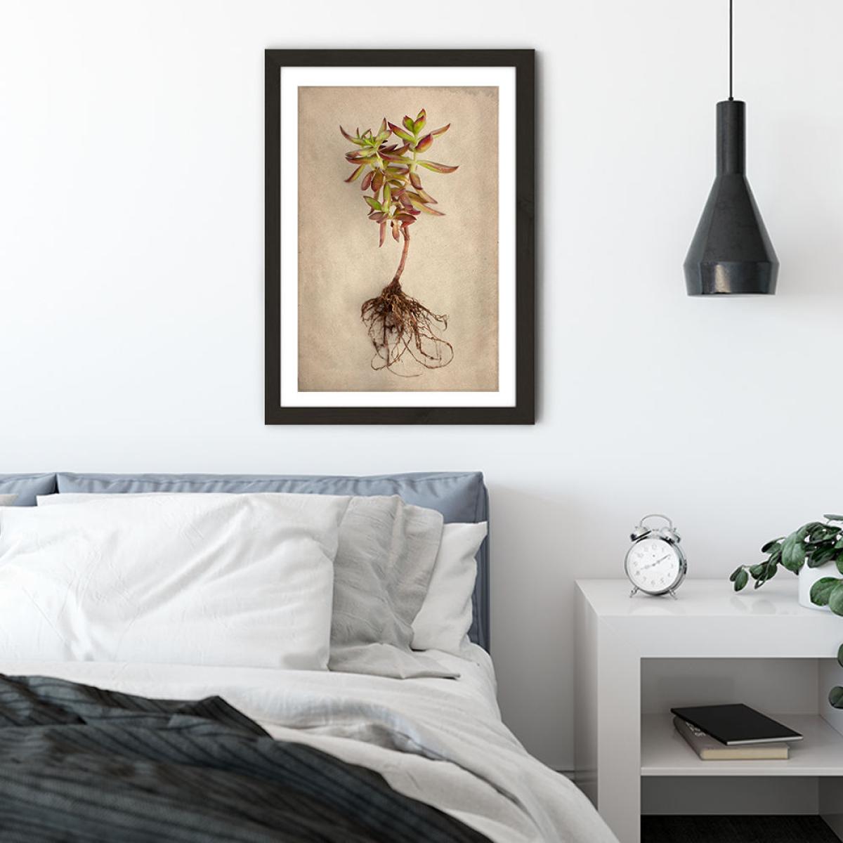 Succulent Study 4 Art Print Black Frame – image 3
