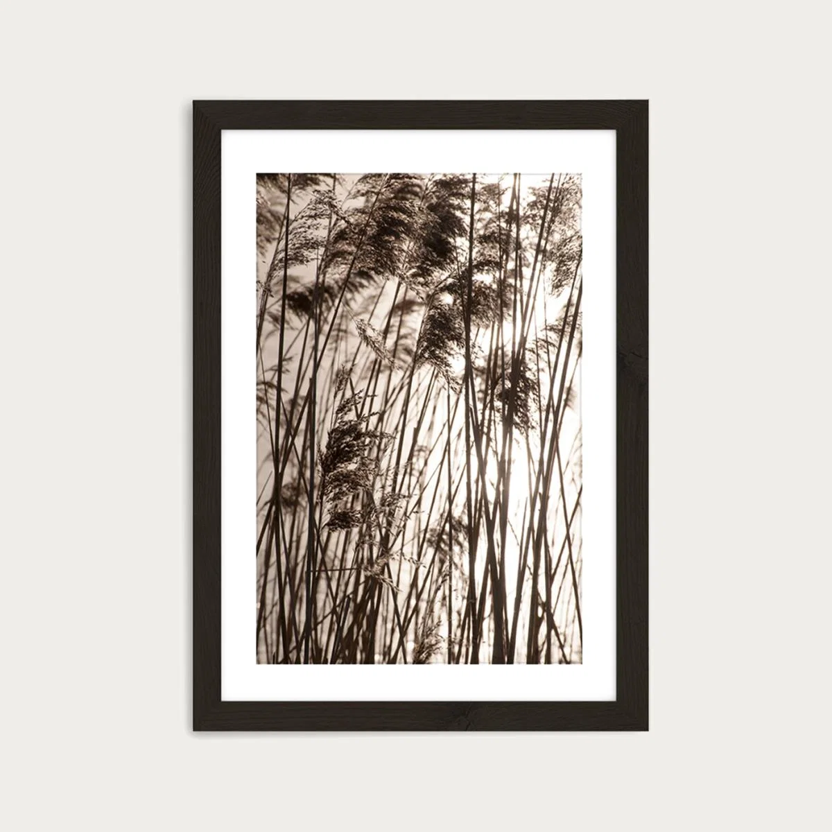 Grasses In The Golden Sunset Art Print Black Frame