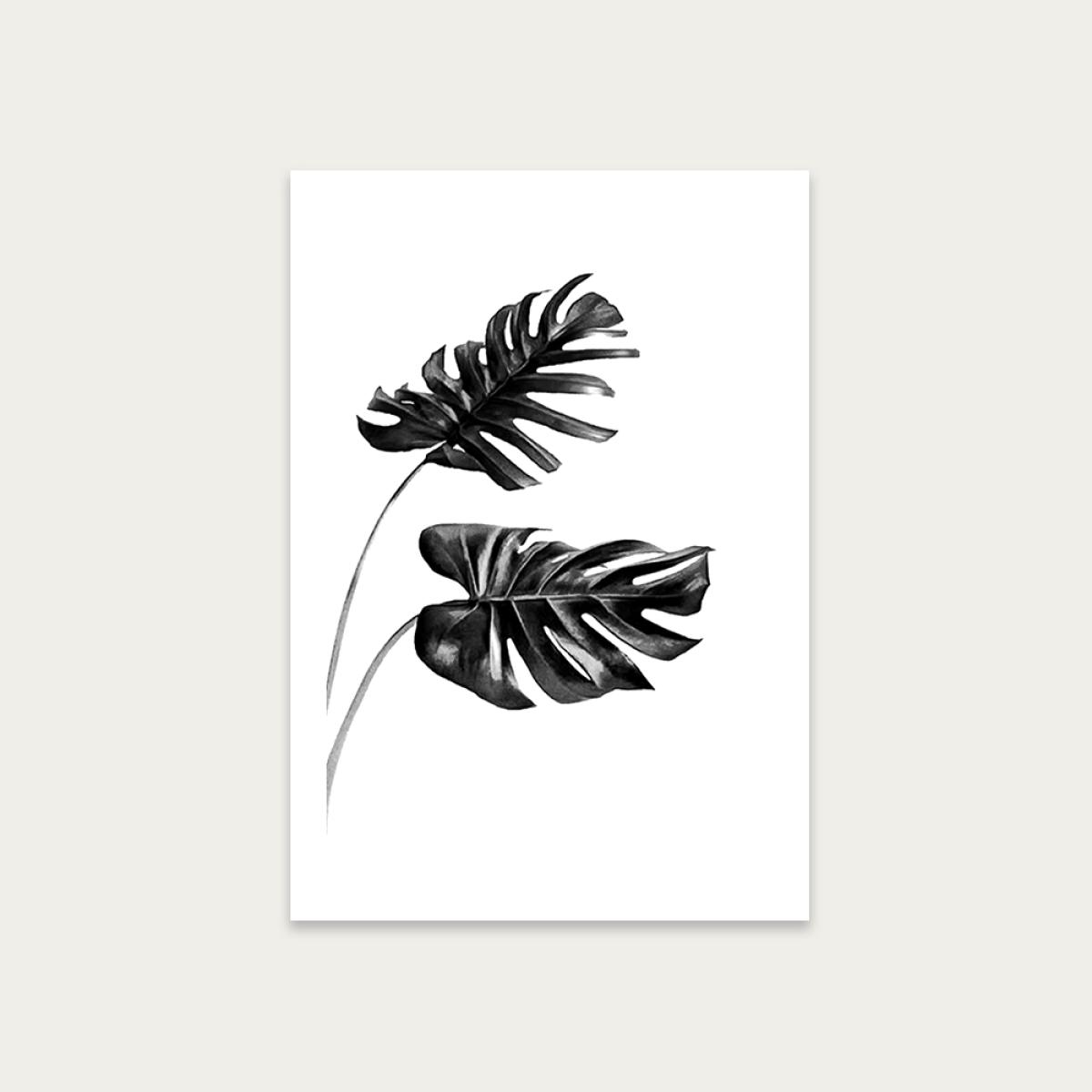 Monstera Black and White 4 Art Print Unframed